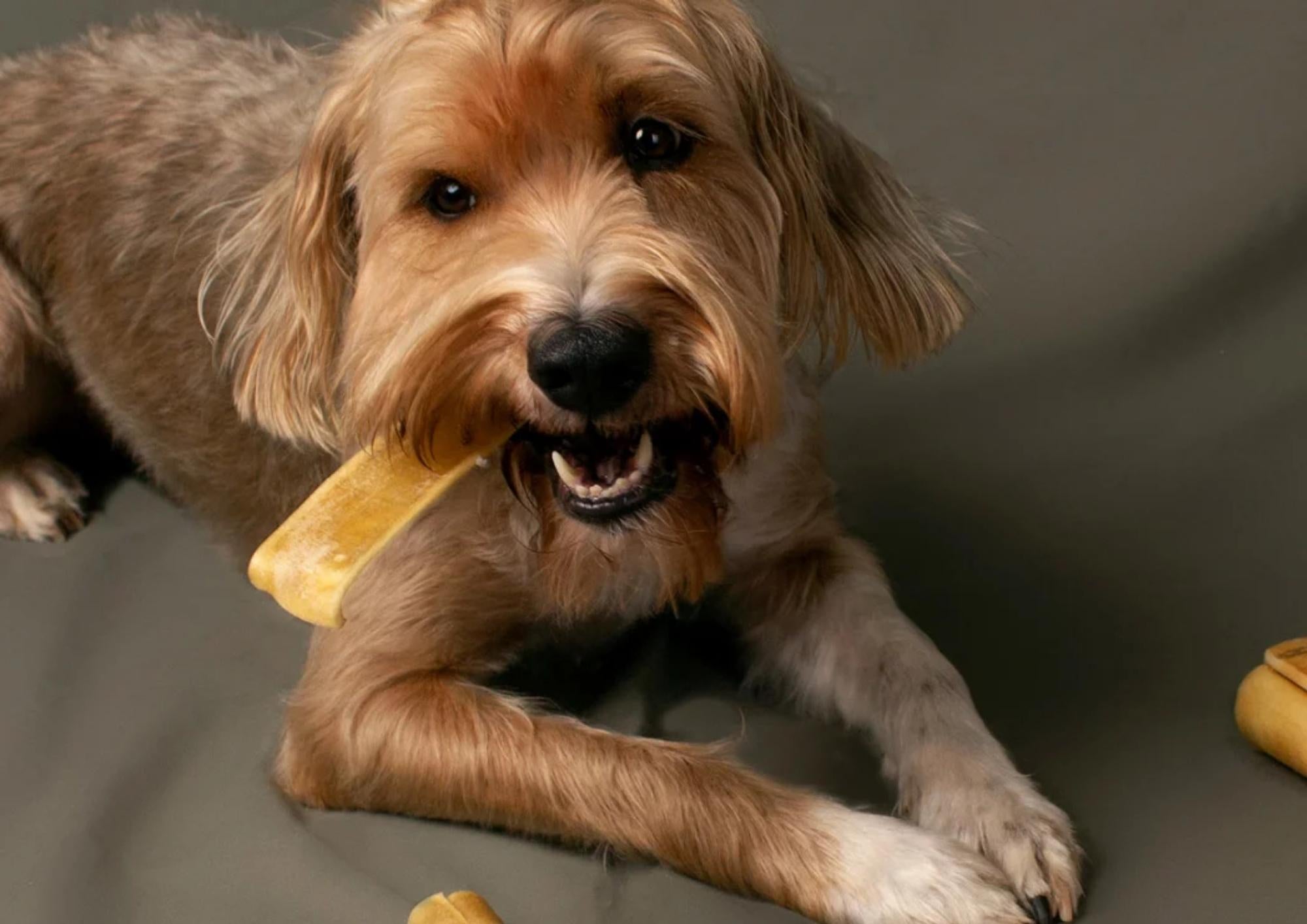 Alvar's Natural Dog Chews