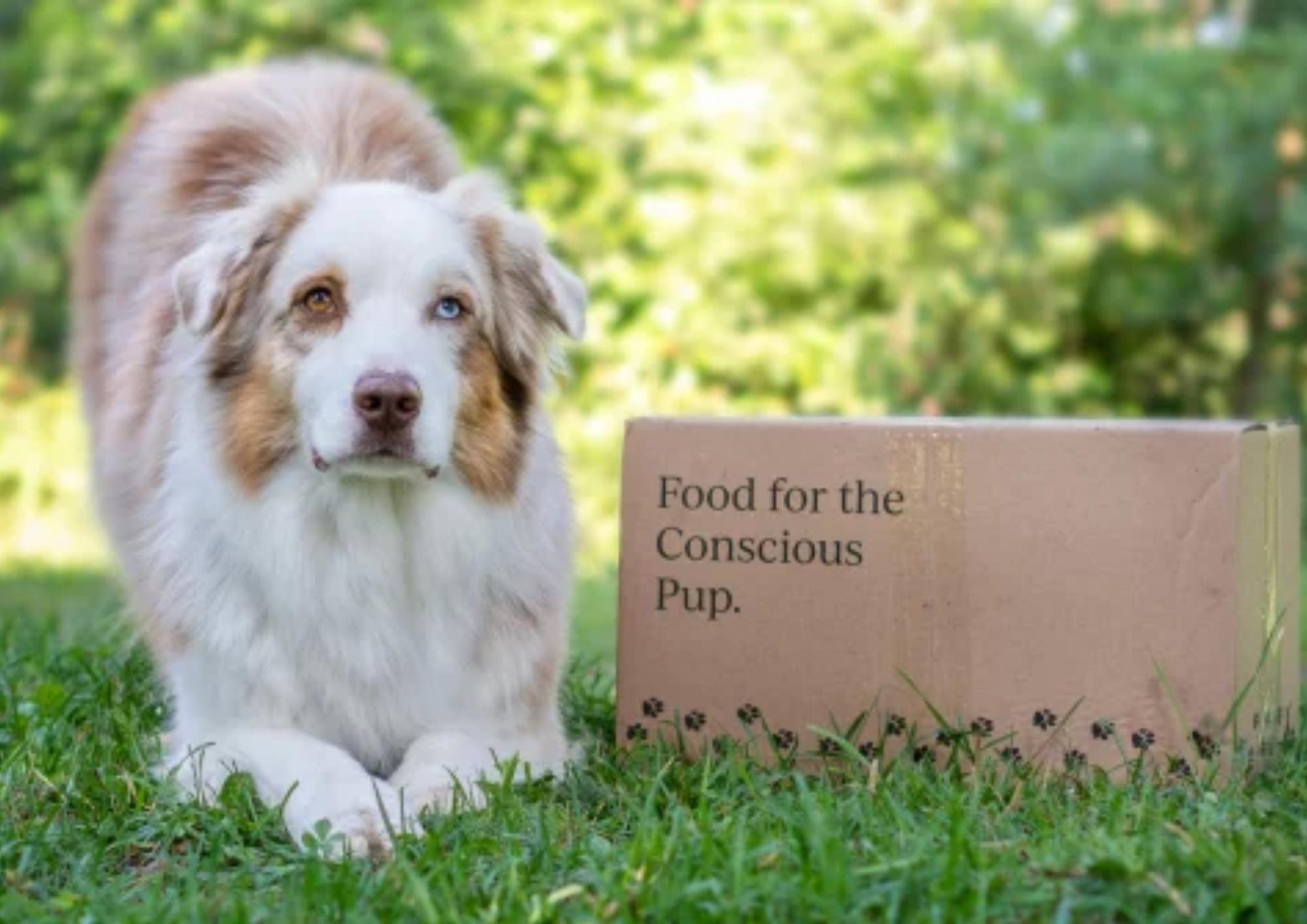 What Does Poop Tell You About Your Dog?