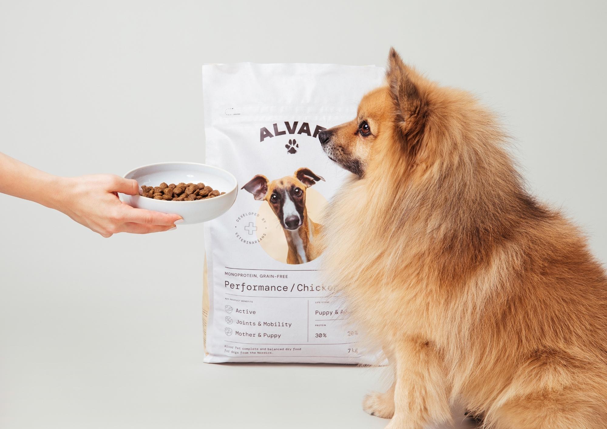 Choose the Right Dog Food for a Sensitive Dog: 5 Things to Consider