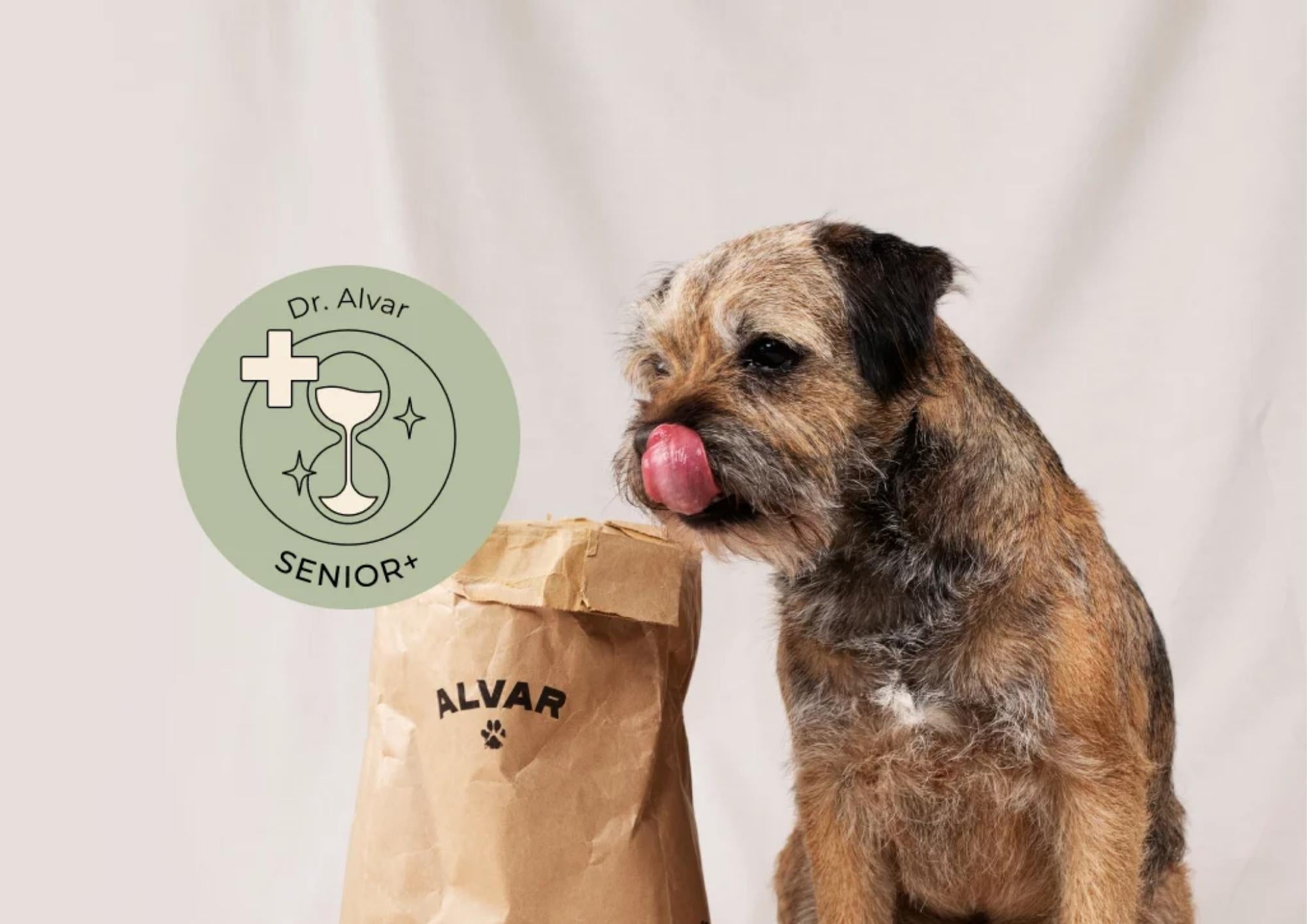 Dr. Alvar Senior+ – Support for Feeding Your Senior Dog