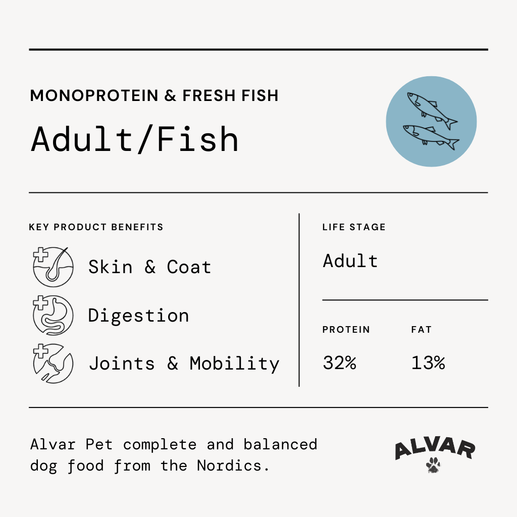 Alvar Pet Adult/Fish kuivaruoka 2 kg
