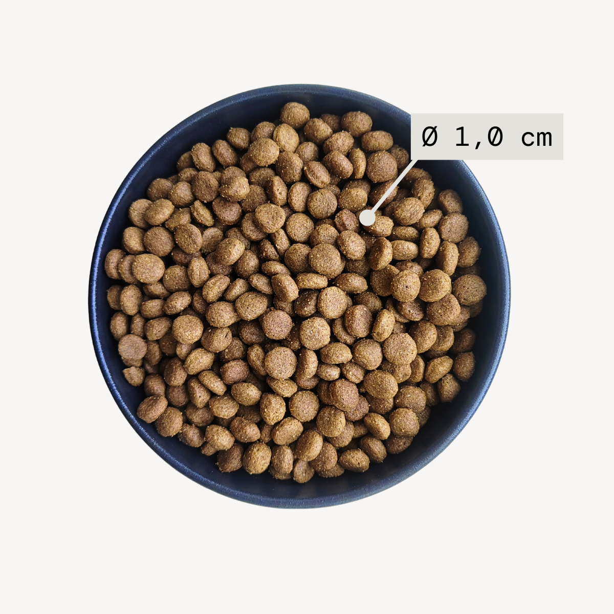 Alvar Pet Derma/Insect kuivaruoka 2kg