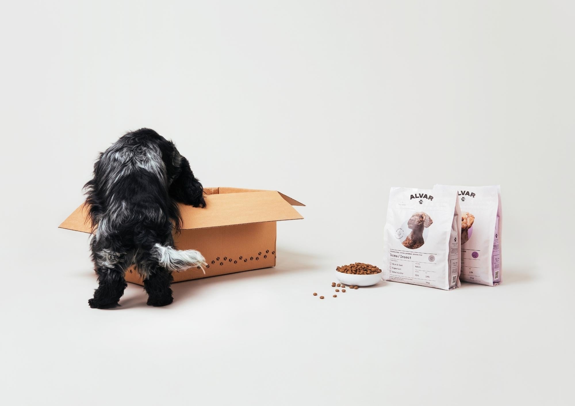 Q&A: Vegetarian Food for Dogs