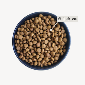 Alvar Pet Derma/Insect kuivaruoka 2kg