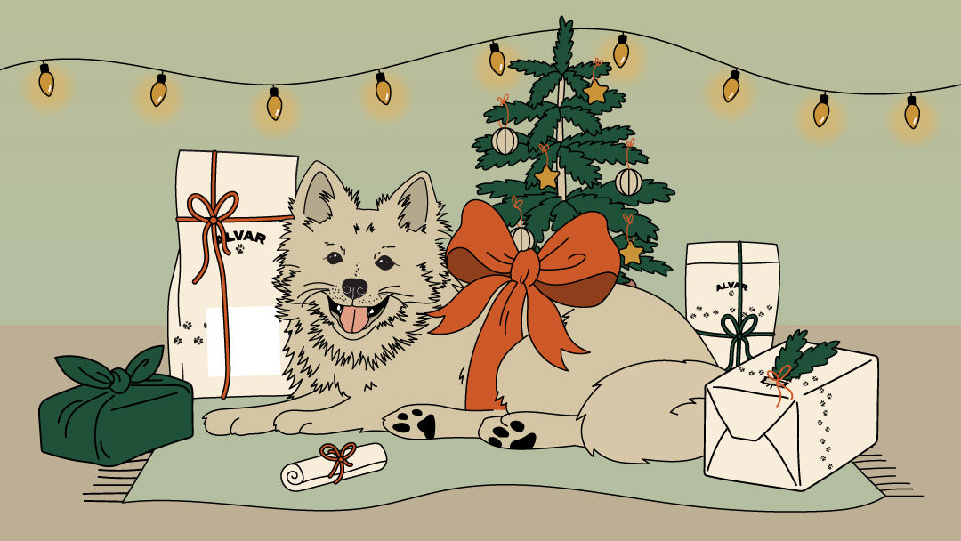 Alvar Pet gift card Christmas