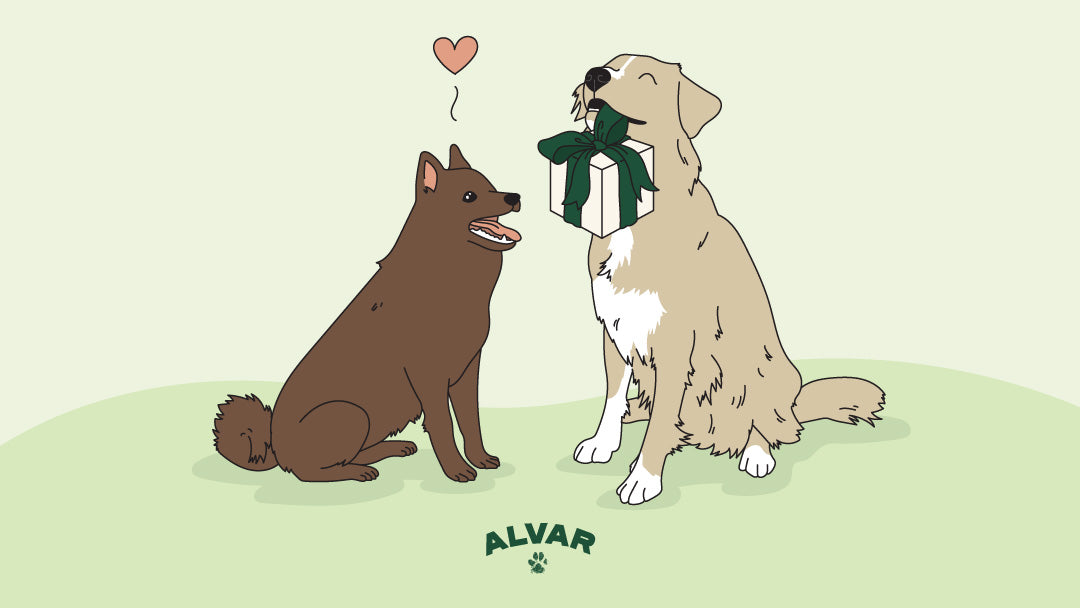 Alvar Pet gift card