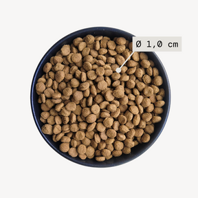 Alvar Pet Light/Fish kuivaruoka 2kg