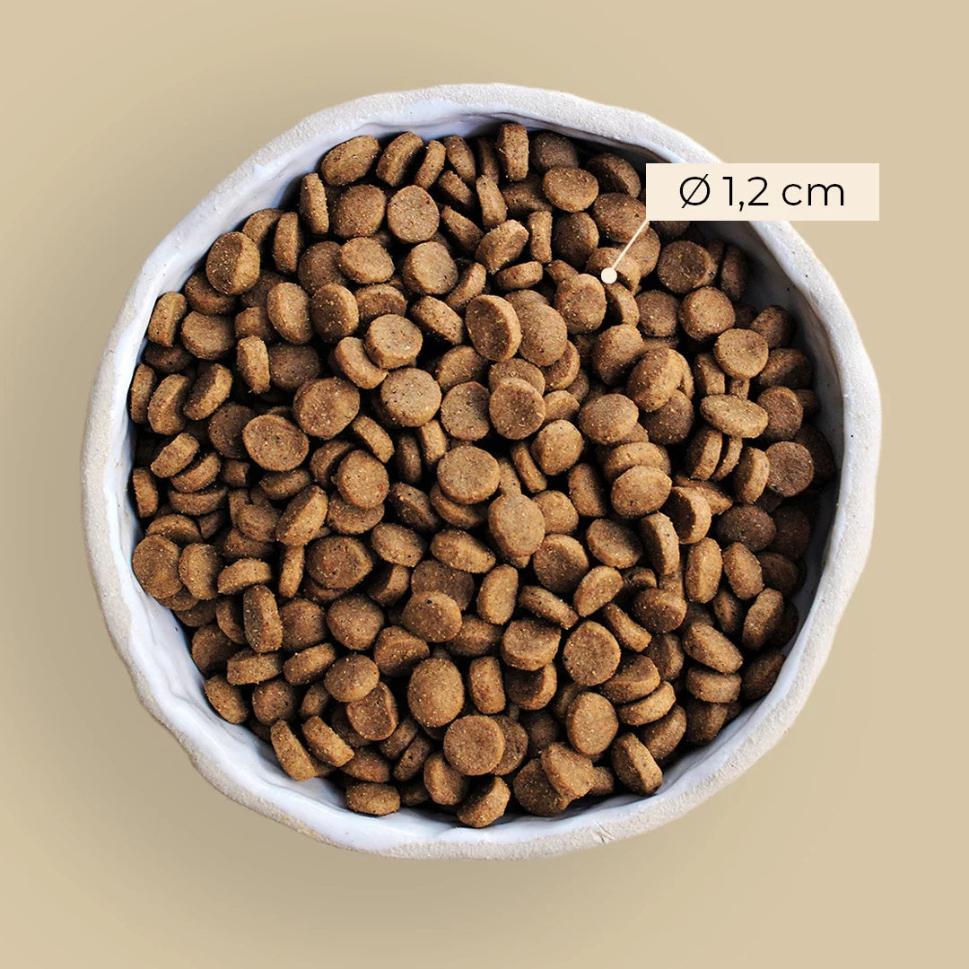 Alvar Pet Root tørfoder 2 kg