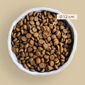 Alvar Pet tørfoder Root, 6 kg